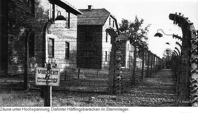 Zune unter Hochspannung: Stammlager Auschwitz
