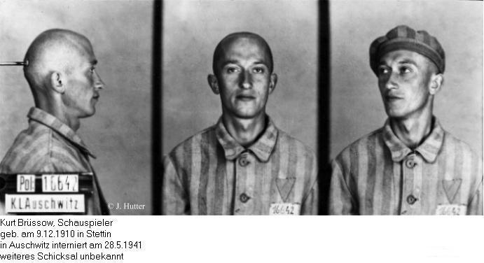 Pink Triangle Prisoner from Auschwitz Concentration Camp: Kurt Brüssow