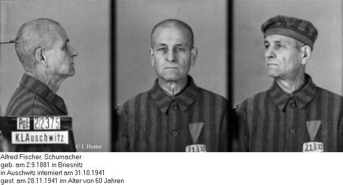 Pink Triangle Prisoner from Auschwitz Concentration Camp: Alfred Fischer