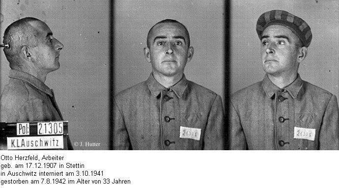 Pink Triangle Prisoner from Auschwitz Concentration Camp: Otto Herzfeld