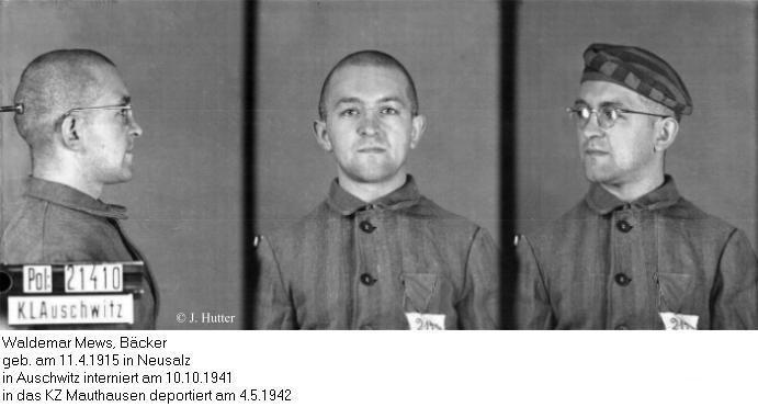 Pink Triangle Prisoner from Auschwitz Concentration Camp: Waldemar Mews