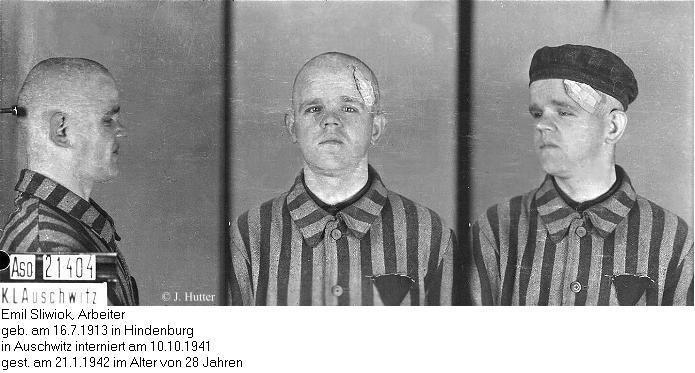 Pink Triangle Prisoner from Auschwitz Concentration Camp: Emil Sliwiok